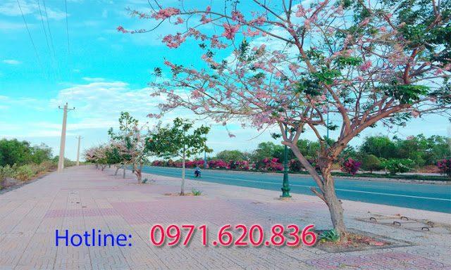 fpt phường xuân an