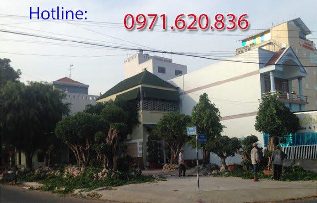 fpt-vinh-quang