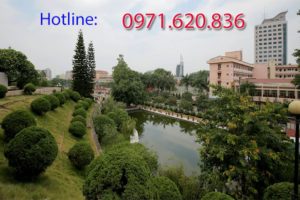 fpt-phuong-tan-long
