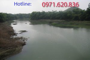 fpt-phuong-tan-thinh
