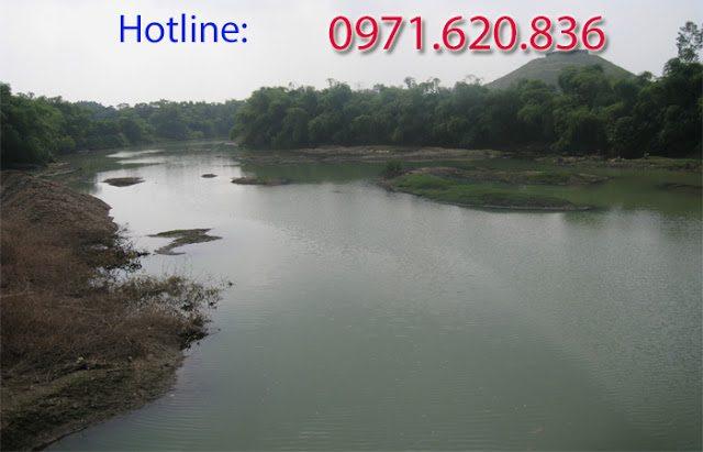 fpt tân thịnh
