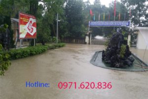 fpt-phuong-huong-chu
